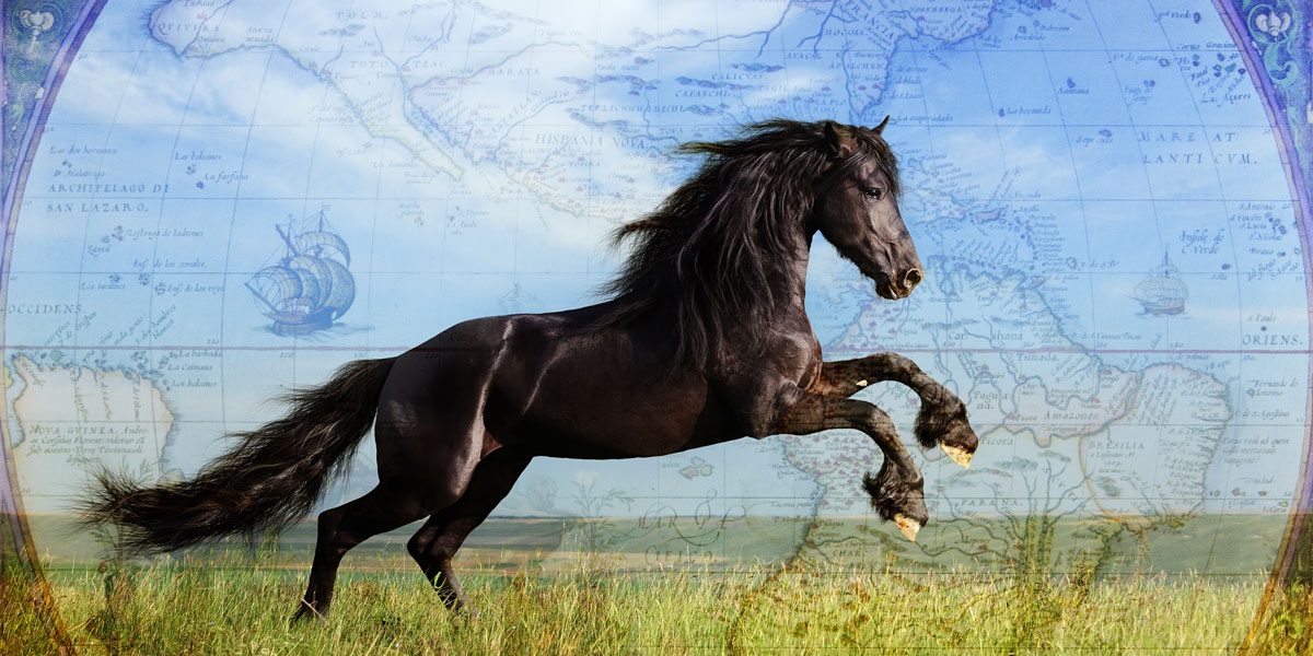 The Roadmap to create traumatic stress disorder in Horses