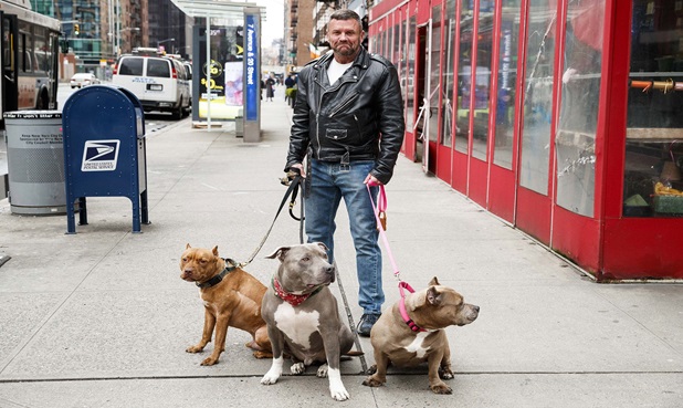 The State of Dog Walking and Pet Walking Service in 2020