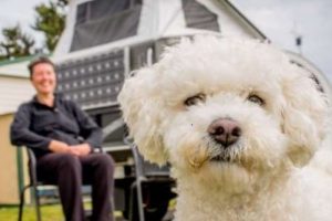 Are There Dog-Friendly Accommodation Perth Facilitates?