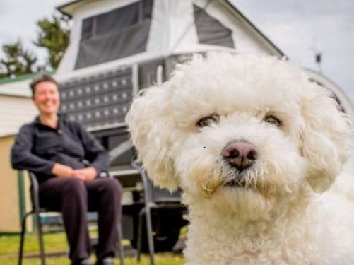 Are There Dog-Friendly Accommodation Perth Facilitates?