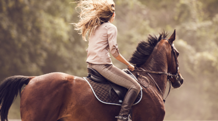 Why Horseback Riding Increases Your Wellbeing
