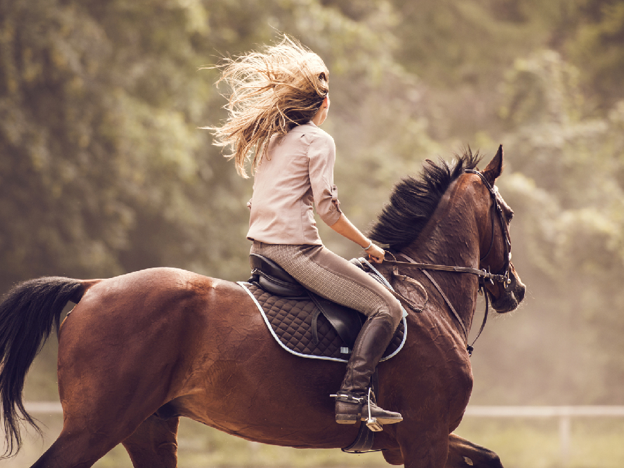 Why Horseback Riding Increases Your Wellbeing