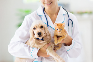 The Role Of Veterinary Compounding