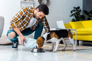 Tips to Choose Pet Services with Excellent Features