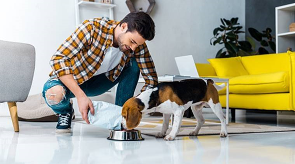 Tips to Choose Pet Services with Excellent Features