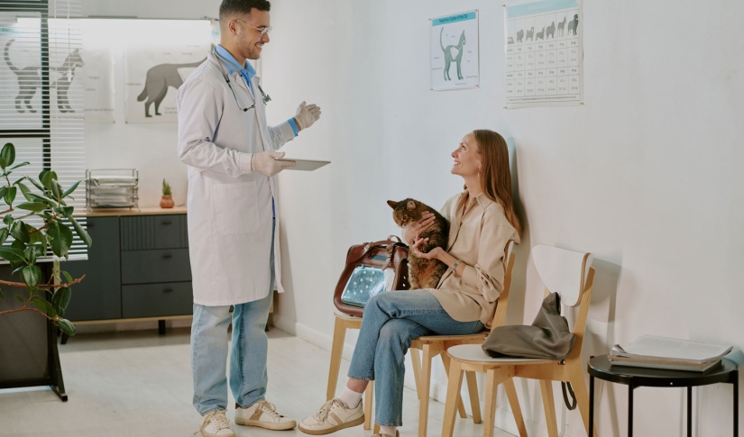The Value Of On Site Diagnostic Labs In Animal Hospitals