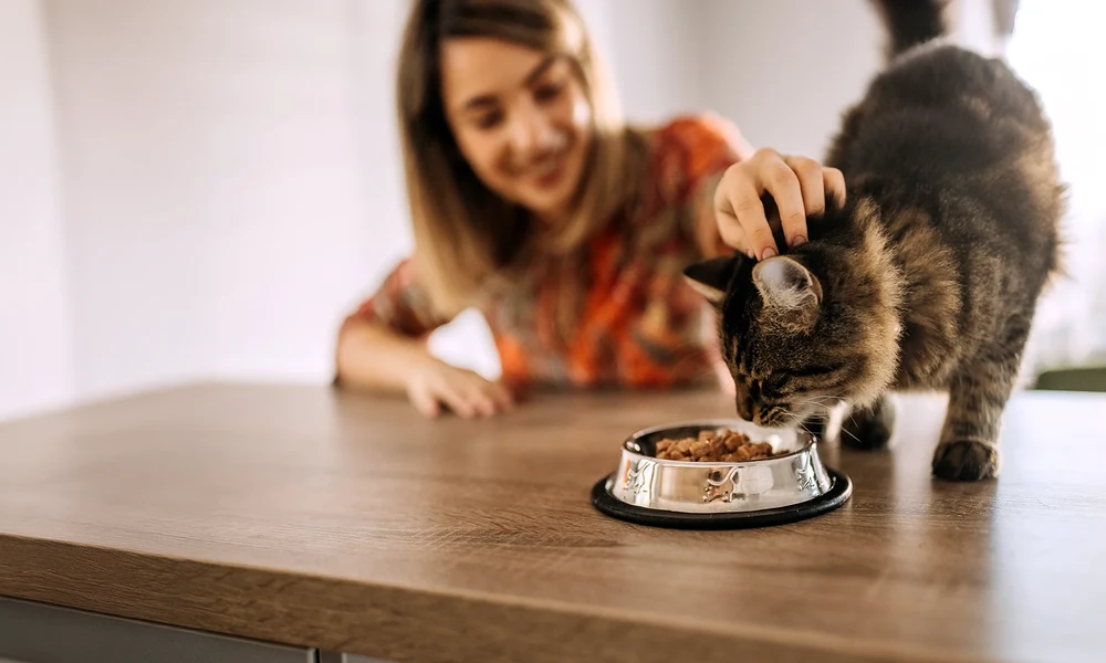 How Animal Care Centers Help With Nutrition And Weight Management