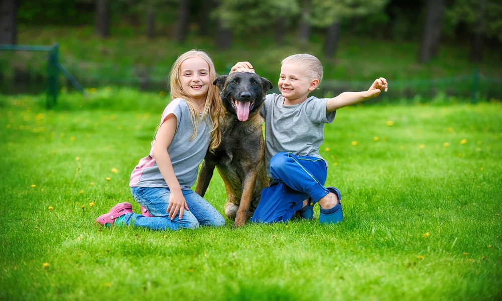 What to Know About Personal Protection Dogs and Children at Home