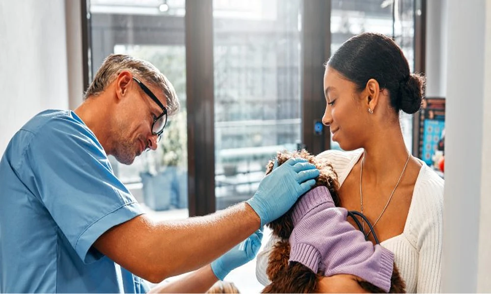 Why Vet Clinics Are Offering Expanded Hours And Emergency Care