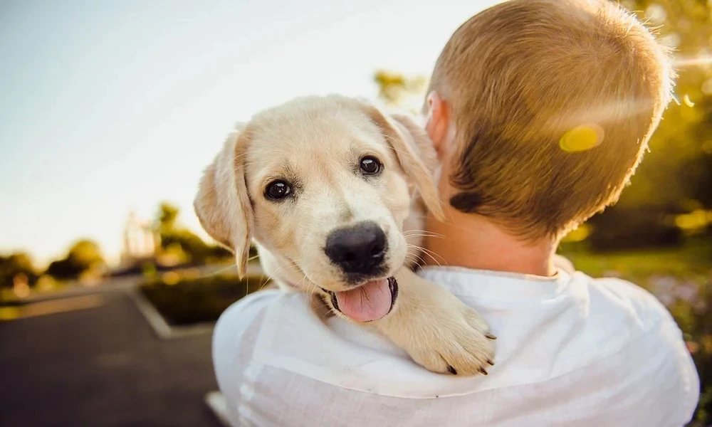 How Veterinary Clinics Are Embracing Telehealth Services